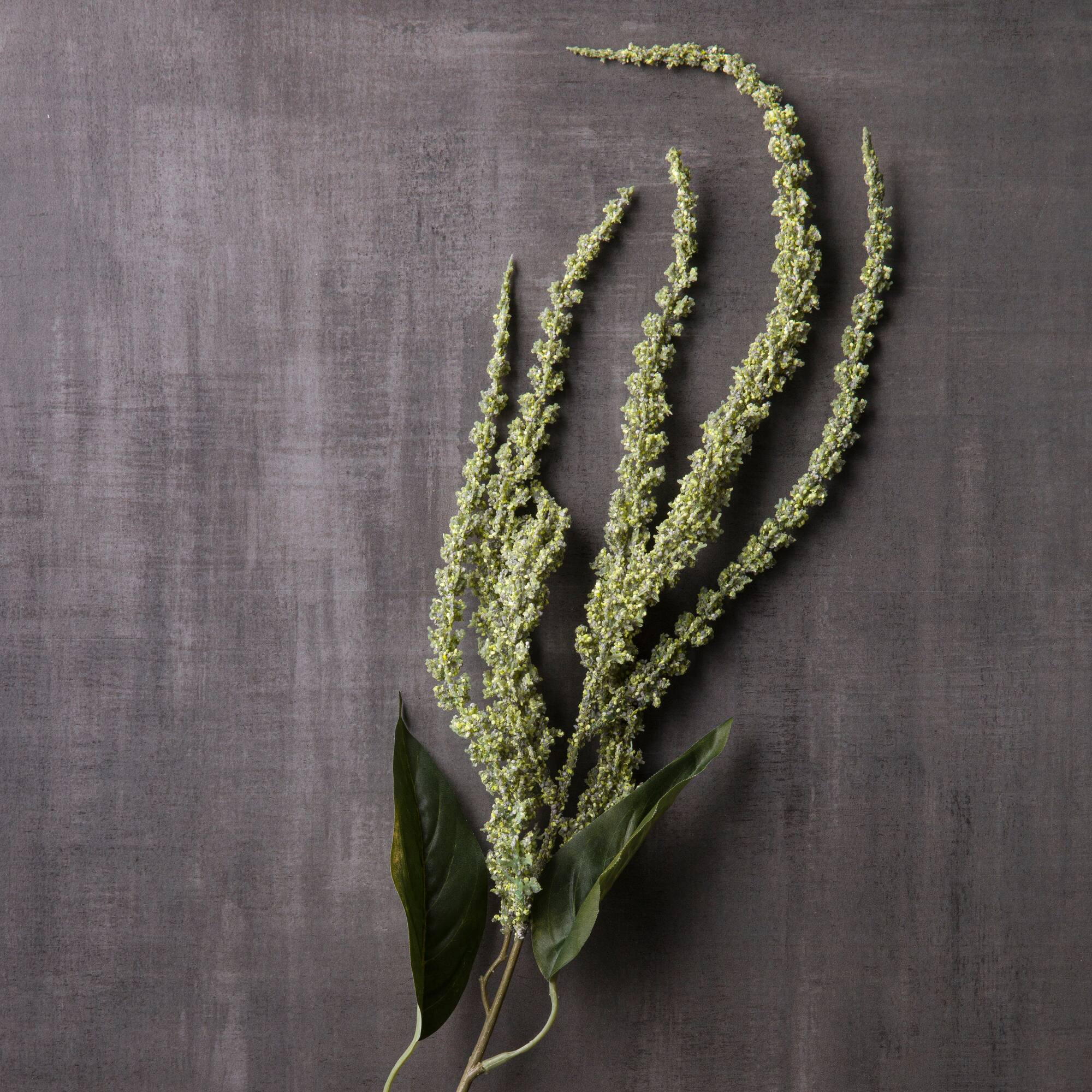 Green Amaranthus Stem by Ashland®
